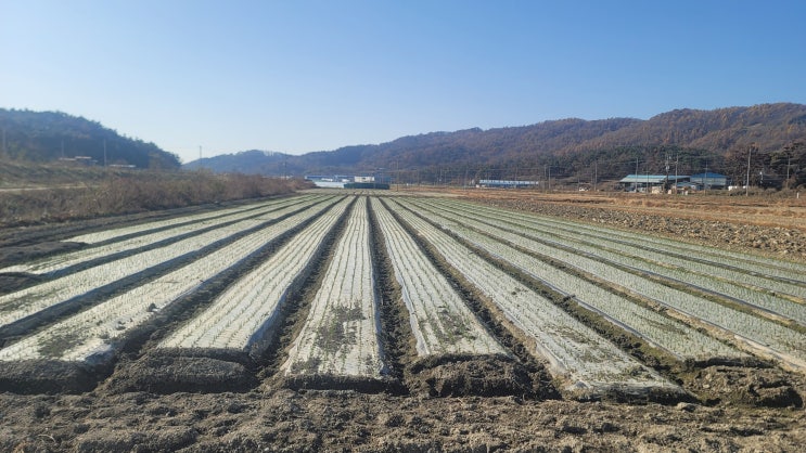  와츠인마이블로그 챌린지 열네번째 글