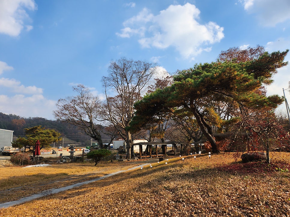 개삼터청기와카페 사진 3