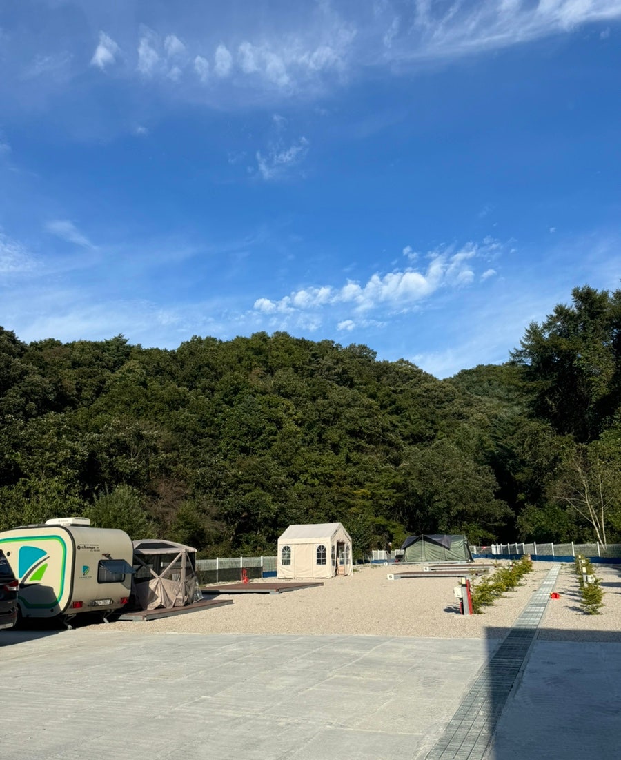 블루베리캠핑장 사진 5