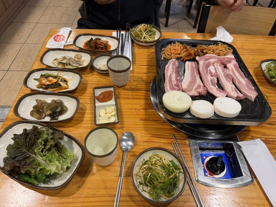 복돼지 사진 6