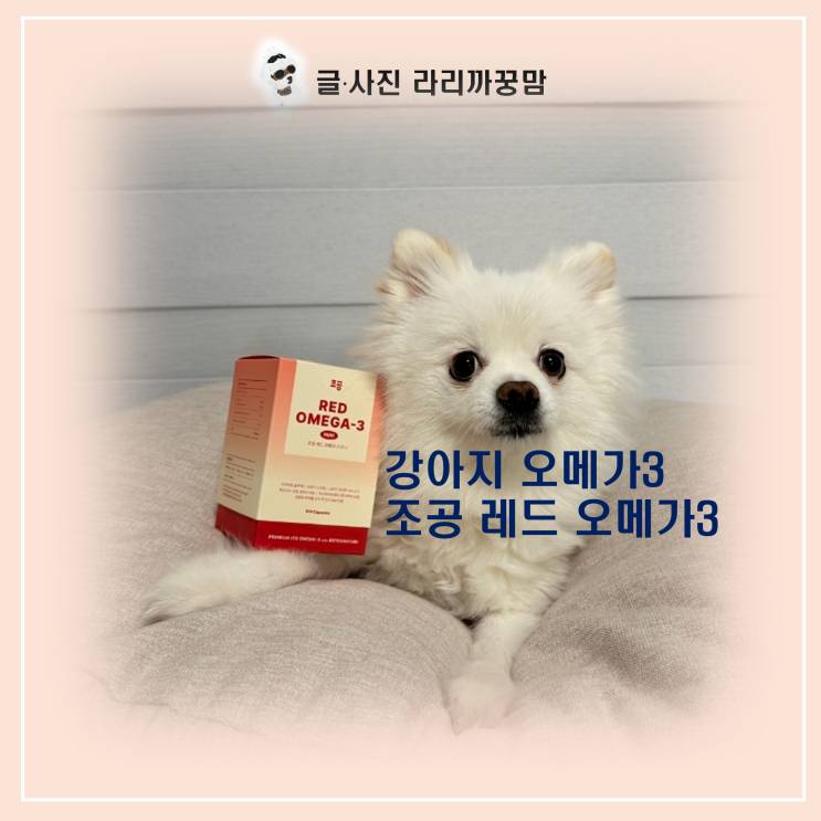  '미니 캡슐'이라 급여 걱정 끝! 11살 밤비도 꿀꺽하는 조공 강아지 오메가3!