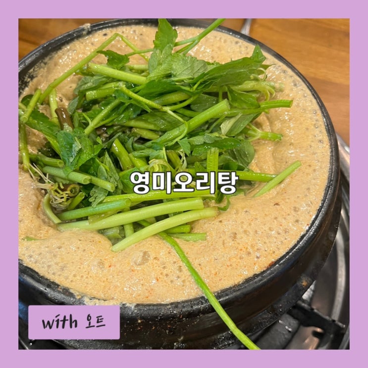  등산 후 먹는 몸보신 음식 군자 맛집 영미오리탕