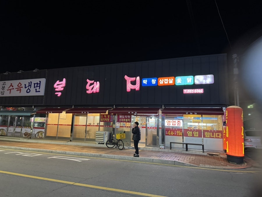 복돼지 사진 1