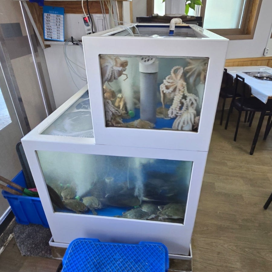 진미식당 사진 3