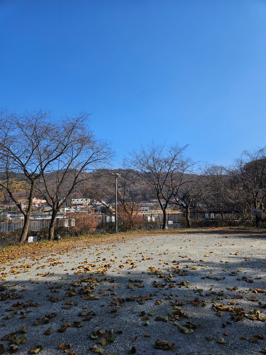 천년찻집 사진 2