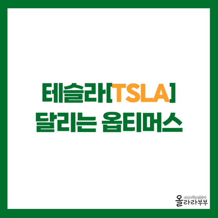  테슬라 달리는 옵티머스 로봇, 투자와 기업 가치는?