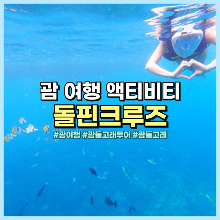  괌 여행 필수 액티비티 돌고래투어 돌핀크루즈 스노클링 예약, 준비물, 후기