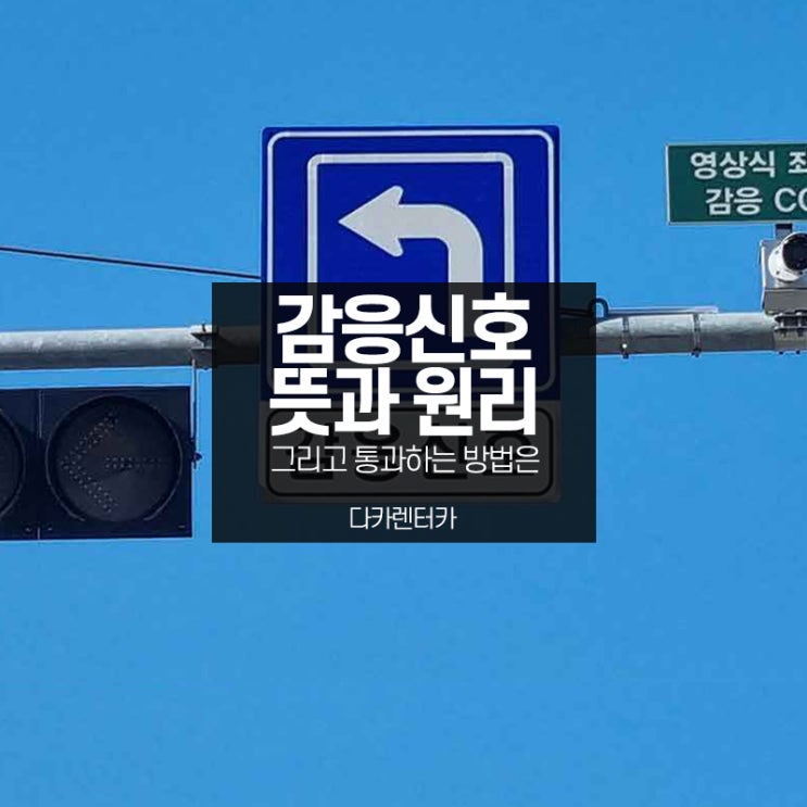  감응신호란 뭘까요? 뜻과 원리, 통과방법 정리해봤습니다