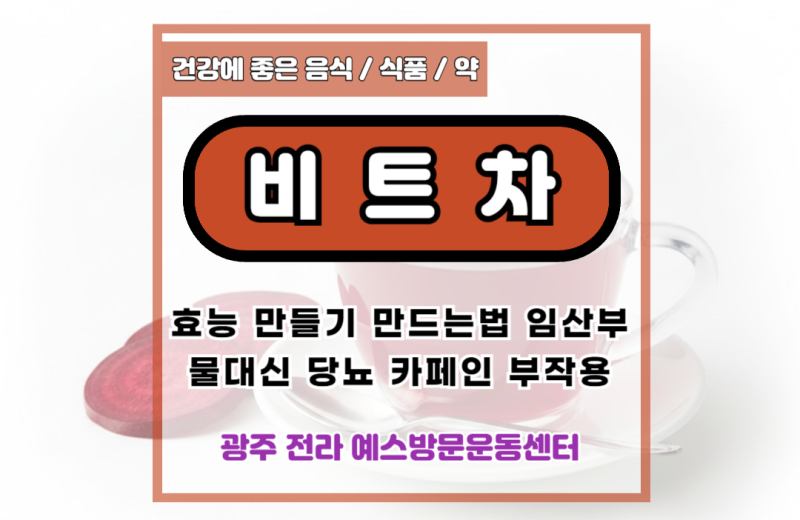 비트차 효능 만들기 만드는법 임산부 물대신 당뇨 카페인 부작용