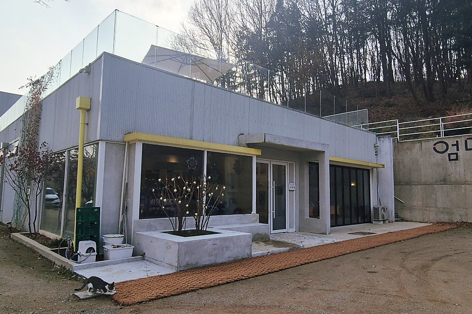 엄마어렸을적엔 사진 5