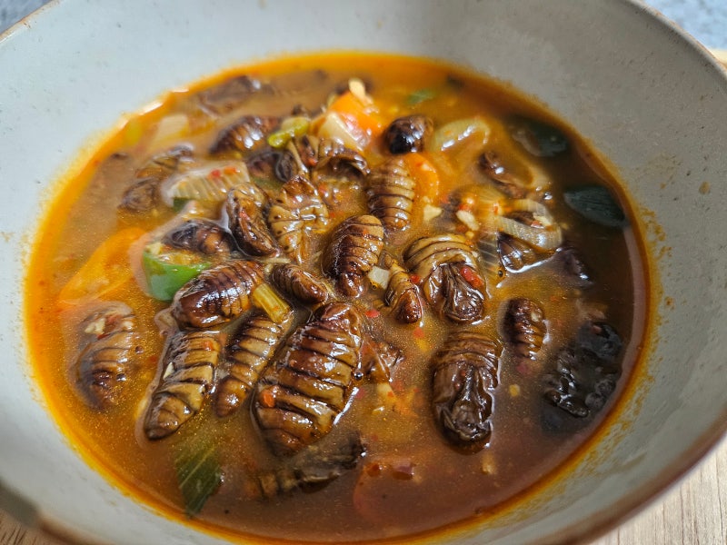 술안주로 딱! 번데기볶음 만들기, 너무 맛있고 초간단 레시피