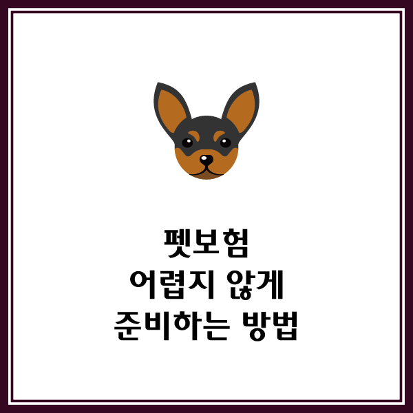 사진 6