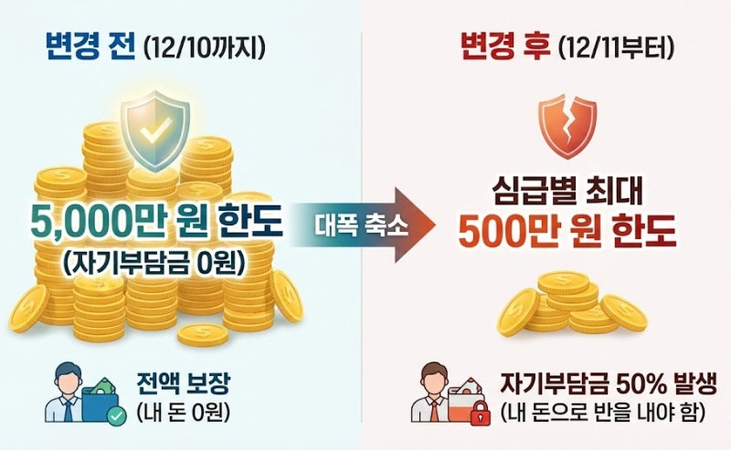 운전자보험, 12월 10일 마감! 내 돈 50%를 날리시겠습니까?