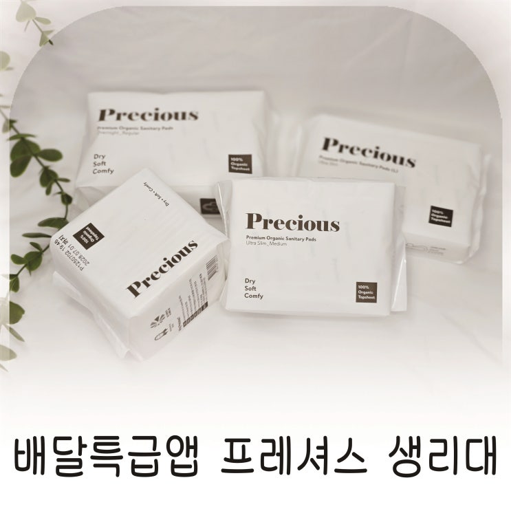  배달특급몰 경기도 생리대 바우처로 만난 프레셔스 생리대 포켓, 롱라이너 추천