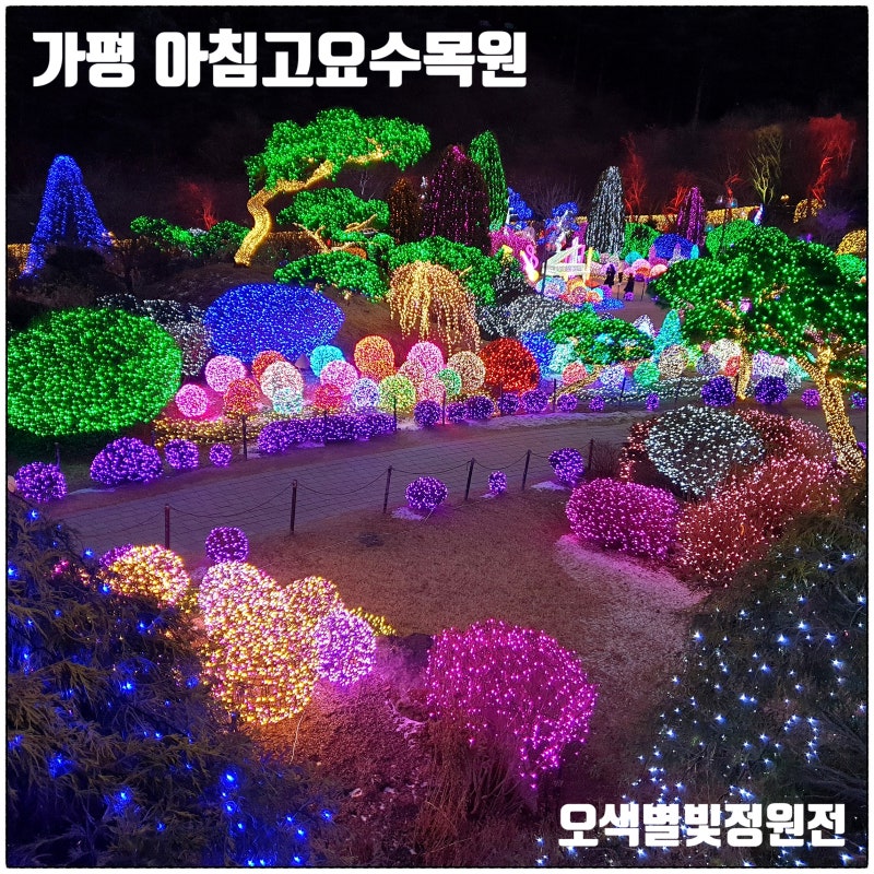 가평 아침고요수목원 오색별빛정원전 2025 야간개장 일정 시간 입장료 할인