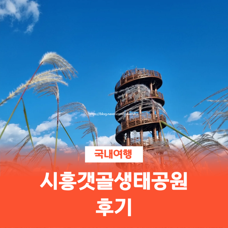  시흥갯골생태공원 후기｜서울 근교 힐링 산책 코스