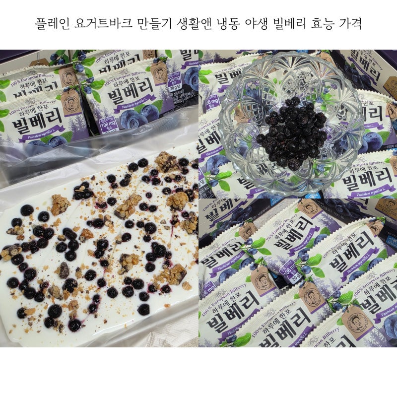 플레인 요거트바크 만들기 생활앤 냉동 야생 빌베리 효능 가격
