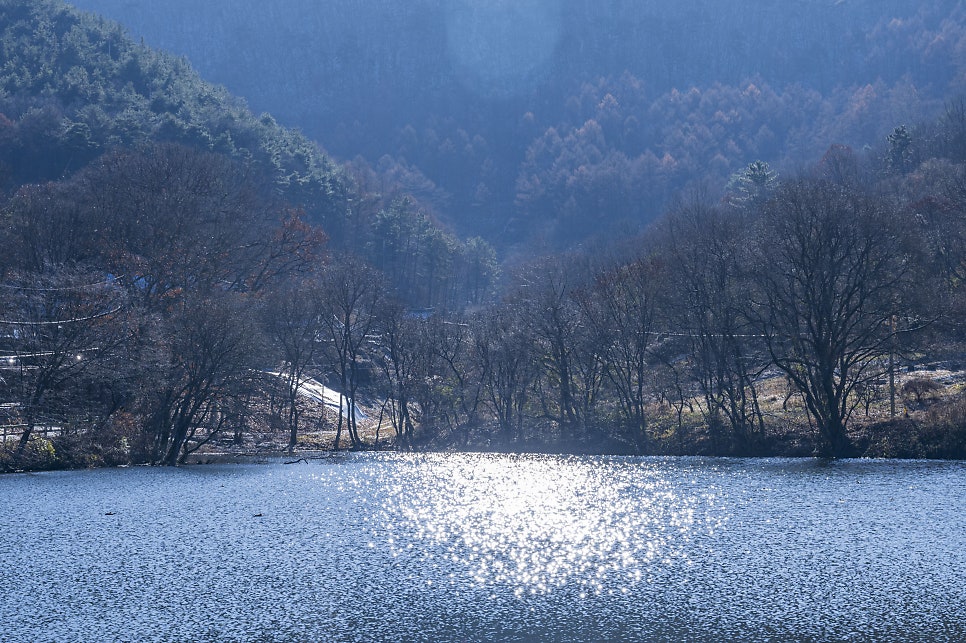 절골 사진 3