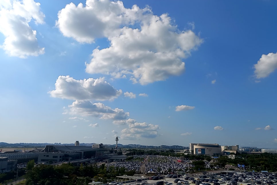 전집 사진 4
