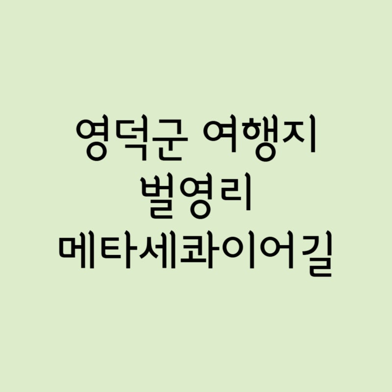 벌영리 메타세콰이어길