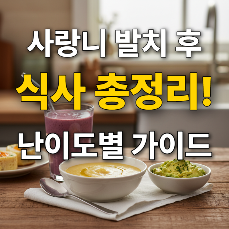 사랑니 발치후 식사, 씹지 않고 삼키는 영양 만점 식단