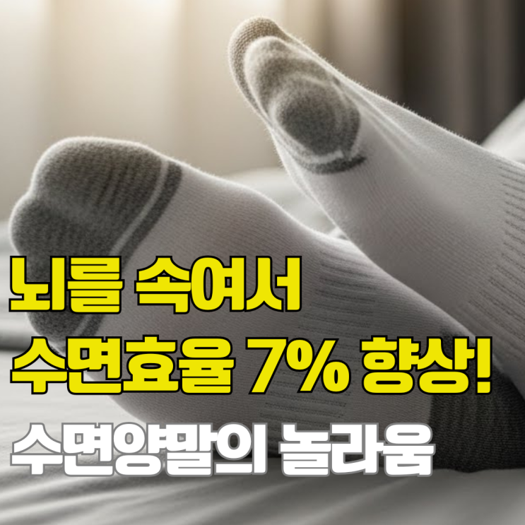  수면양말이 정말 효과가 있다니. 겨울엔 꼭 신으세요.