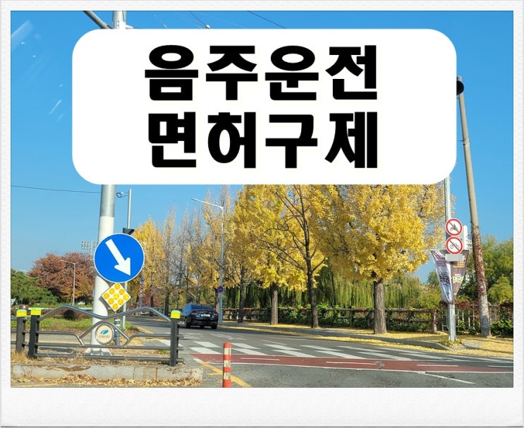  혈중 알코올 농도 0.05 가벼이 넘길 수 없는 상황