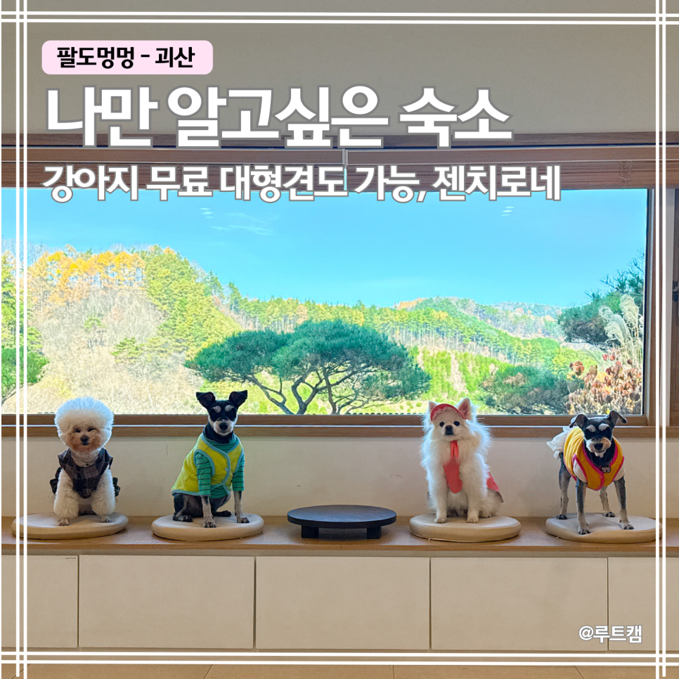 젠치로네 사진 1