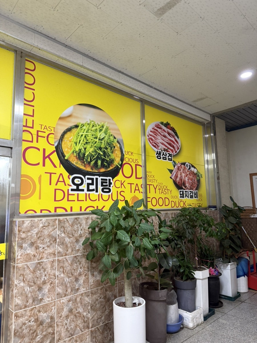 오리날다 사진 5