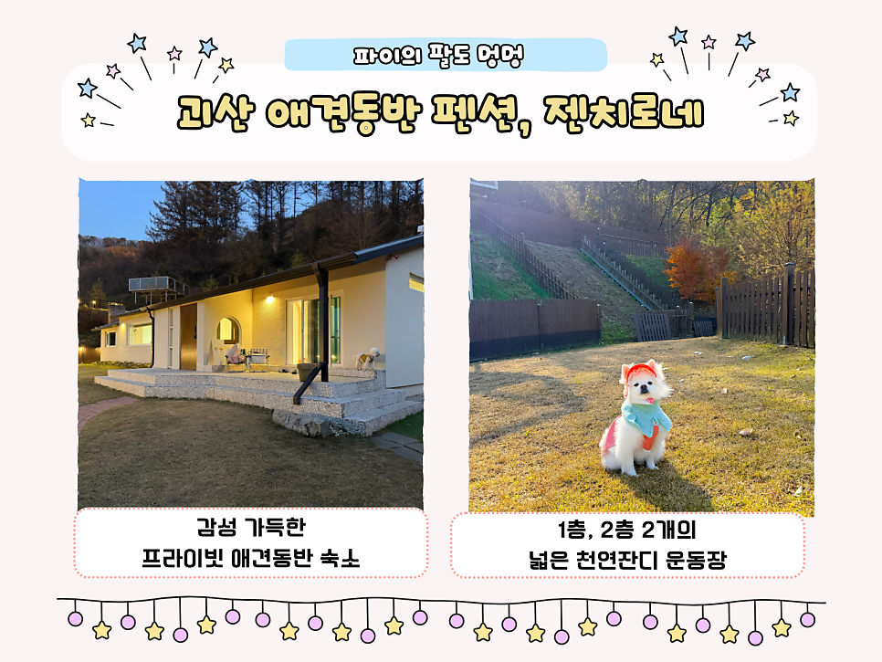 젠치로네 사진 2