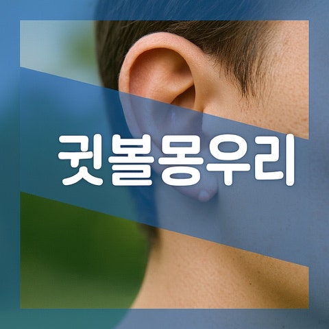 귓볼 뒤 몽우리 통증 원인, 피지낭종 모낭염 혹 제거 방법