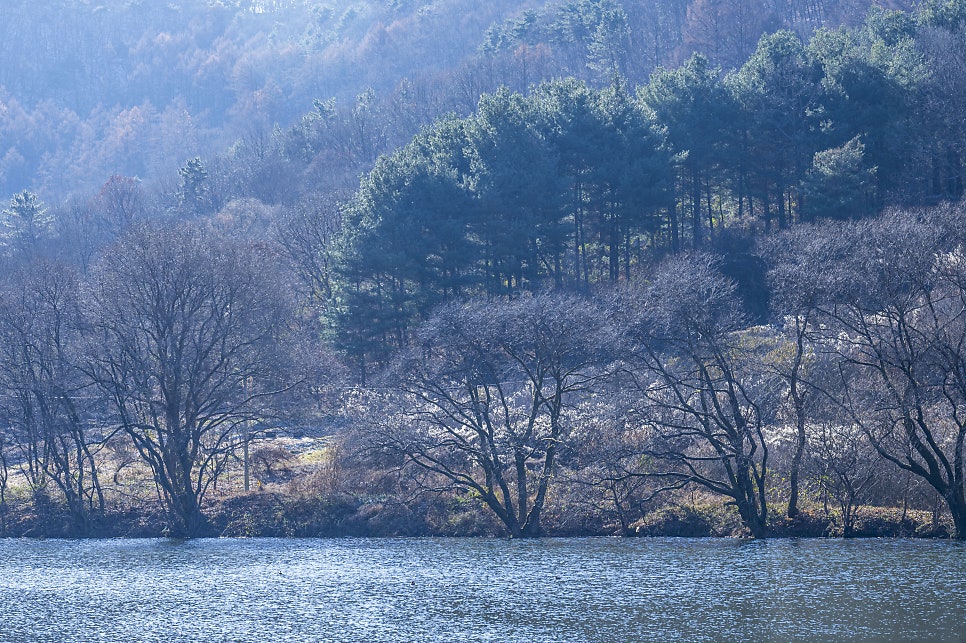 절골 사진 2