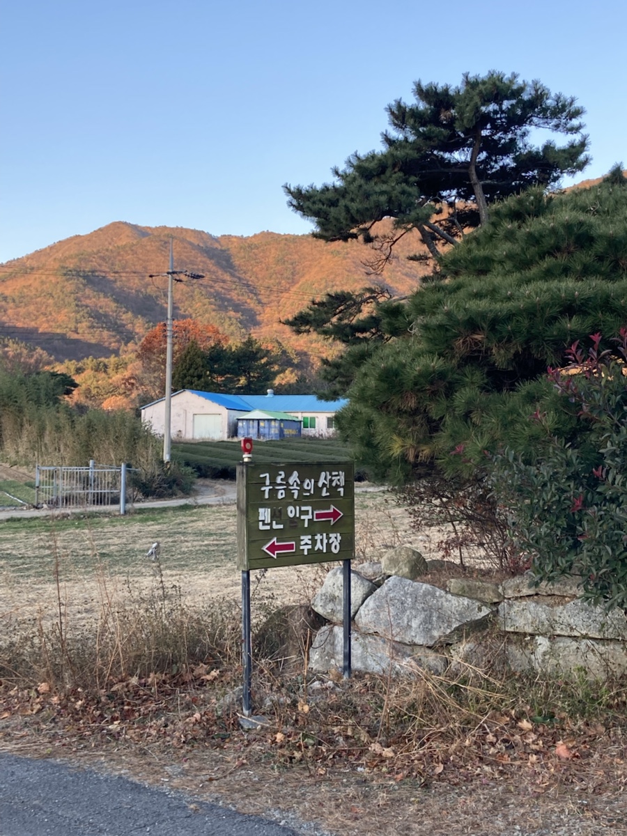 구름속의산책펜션 사진 1