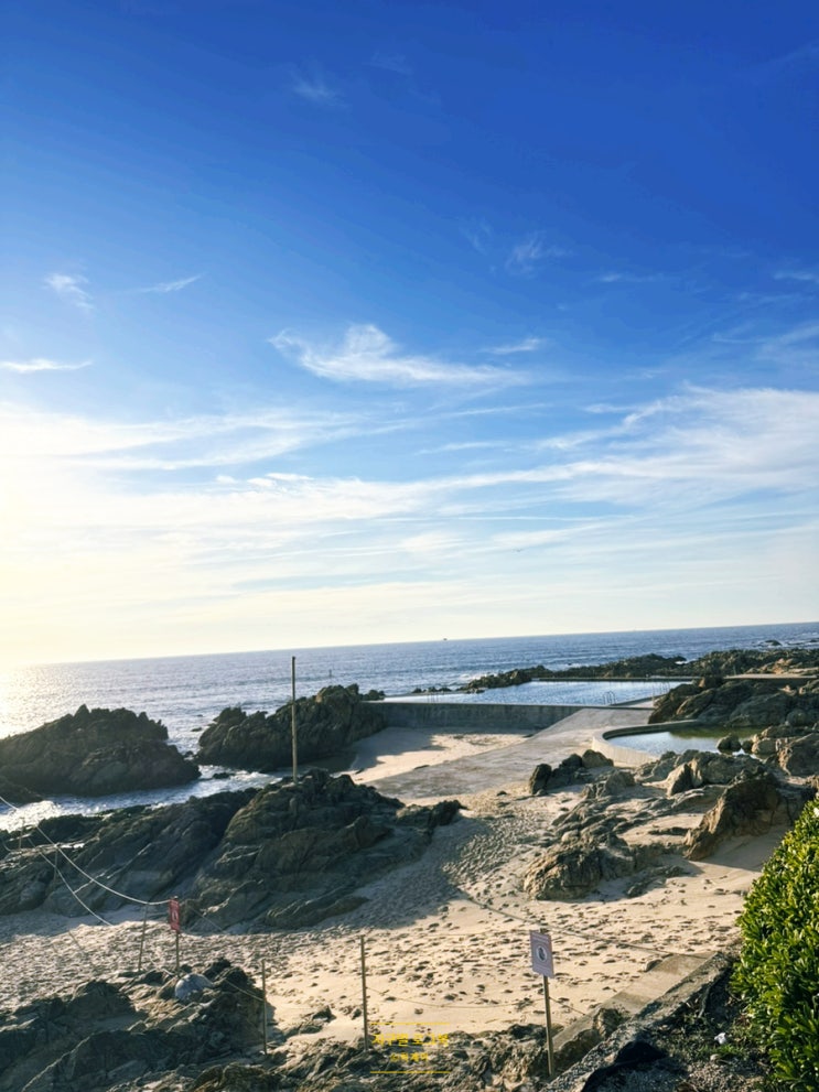 마토지뉴스 해변 piscina das mares(레샤 수영장) 가는 법 포르투 근교 당일치기 여행