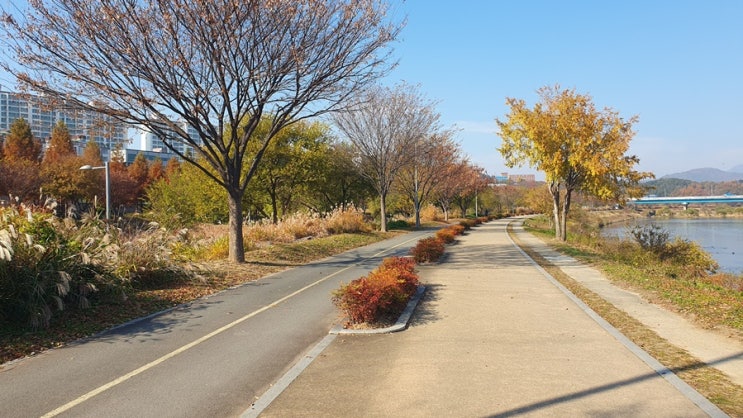  눈 오는 날 운전하는 꿈 상황별 해석 총정리