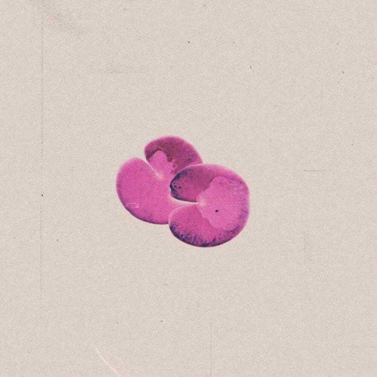  김우도 - 뻔한 약속