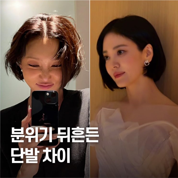  분위기 찢었다.. 송혜교 vs 화사 단발 스타일 비교 얼굴형 정답 찾기