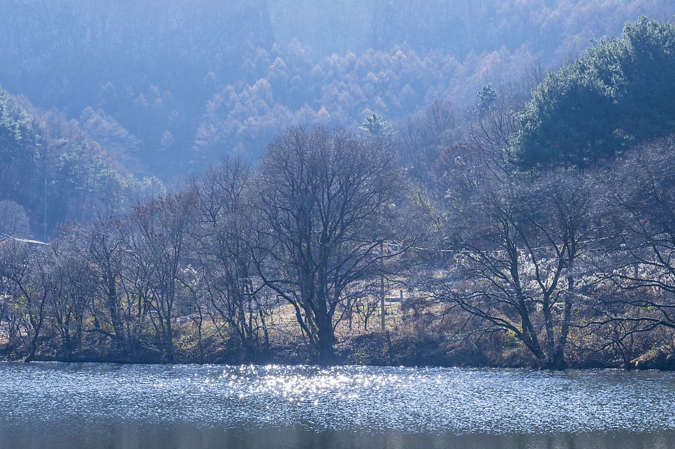 절골 사진 5