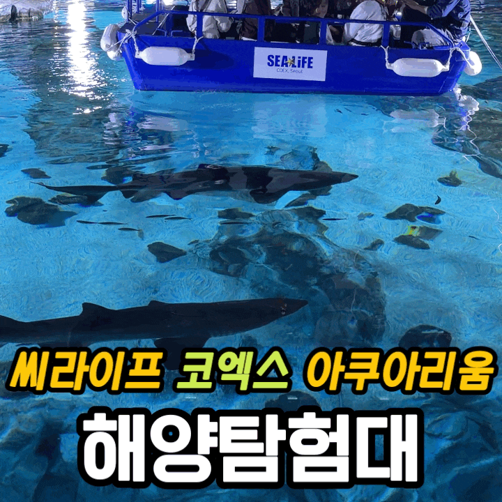  씨라이프 코엑스 아쿠아리움 – 해양탐험선·인어공주 공연·별마당도서관까지 하루 코스