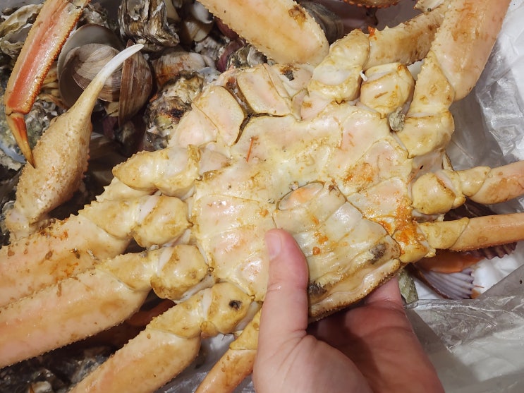  구리 수산물시장 구리 충무수산에서 대게찜 & 광어회 찐 후기