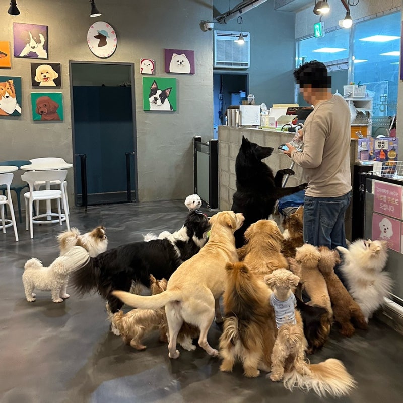 사진 5