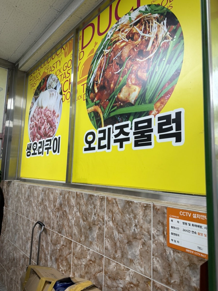 오리날다 사진 3