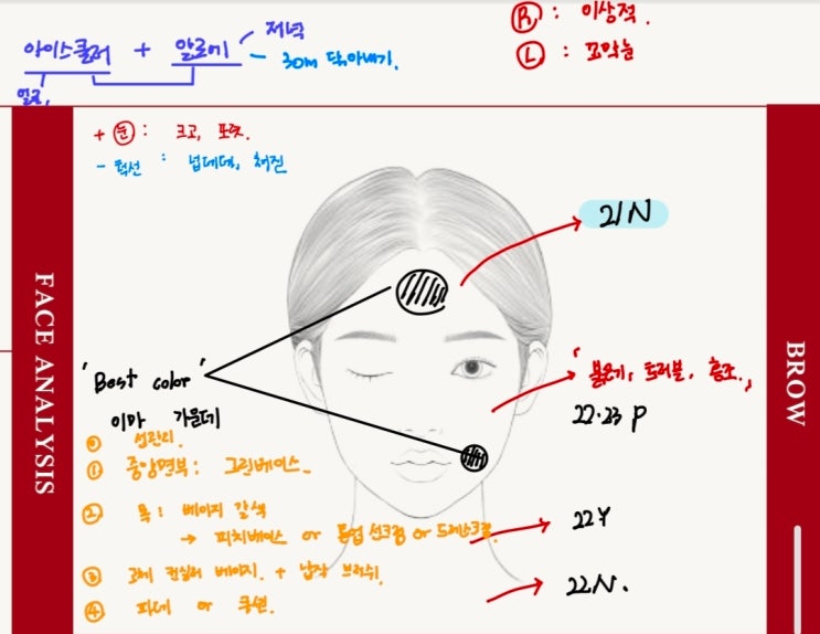  서울 퍼스널컬러 골격진단 네프끌레어 시그니처 이미지컨설팅 진단지 후기
