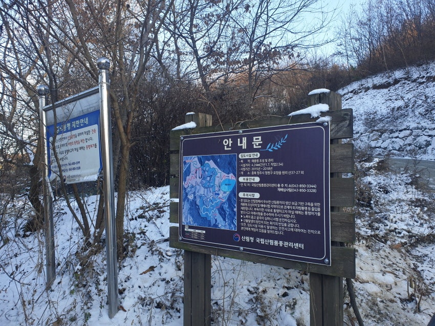 살세미산 사진 3