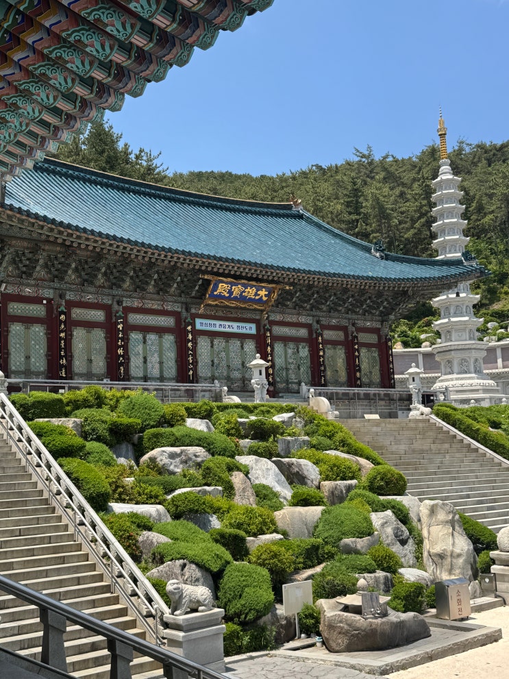  부산 여행 일기 부산 가볼만한 곳 부산 삼광사 부산어린이대공원
