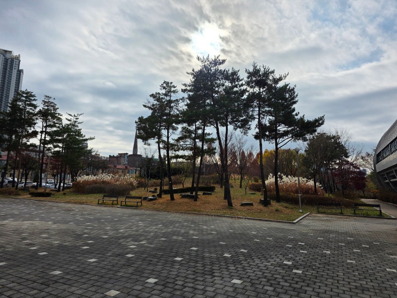 사진 2