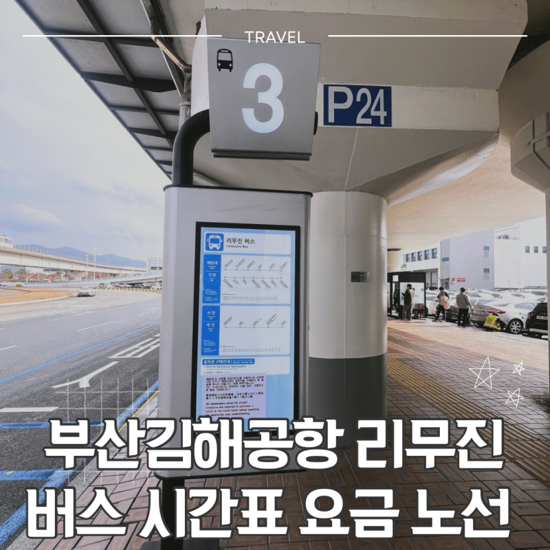 부산 김해공항 리무진 버스 시간표 요금 정보 예약 방법(ft. 해운대, 기장, 서면, 부전 노선)