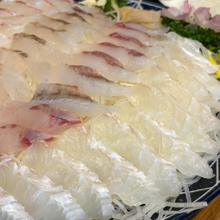  대구 달서구 횟집 감삼동 횟집 죽전역 맛집 죽전네거리 맛집: 싱싱횟집(모듬회, 산낙지)