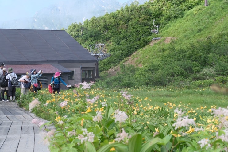  [기록] 2025년 사진으로 되돌아보기