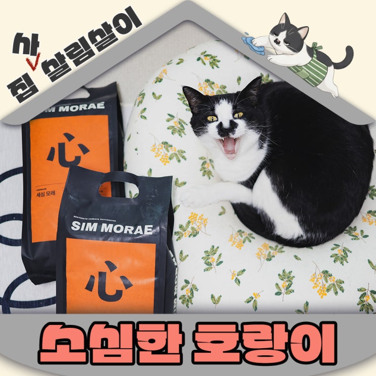  네이버펫바우처 건조한 겨울에 추천하는 소심한 호랑이 세심모래 고양이 벤토나이트
